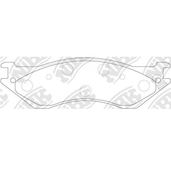 NiBK PN0079